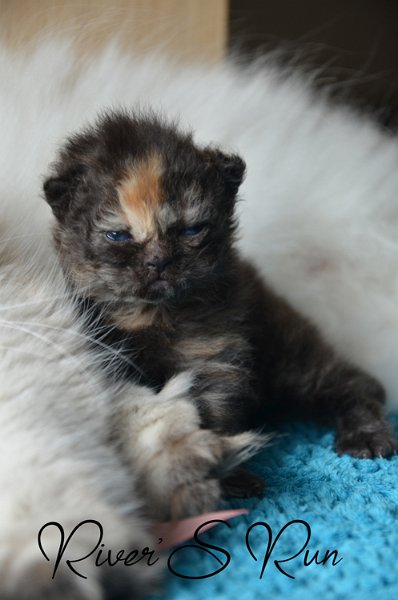 Vicky 23 janvier 2024 (18).jpg